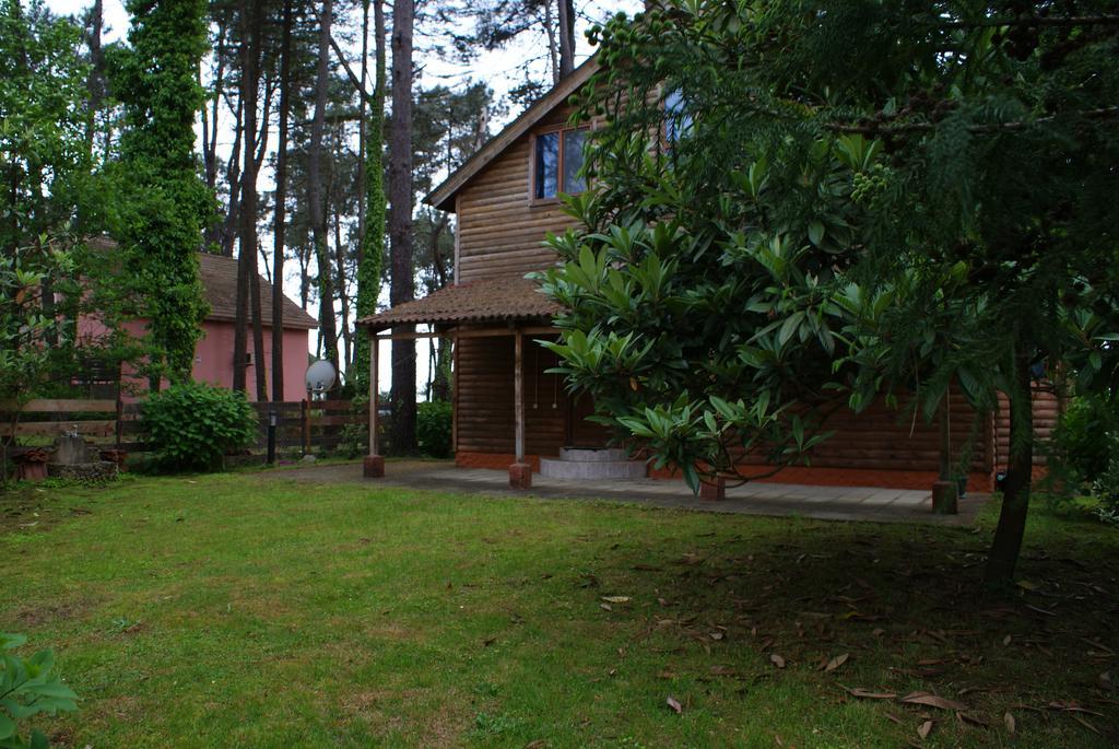 Green Cottage Shekvetili Ureki Kültér fotó
