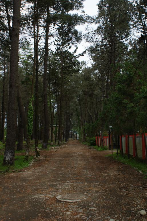 Green Cottage Shekvetili Ureki Kültér fotó